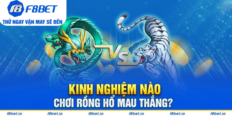 Kinh nghiệm chơi rồng hổ F8bet nhanh thắng